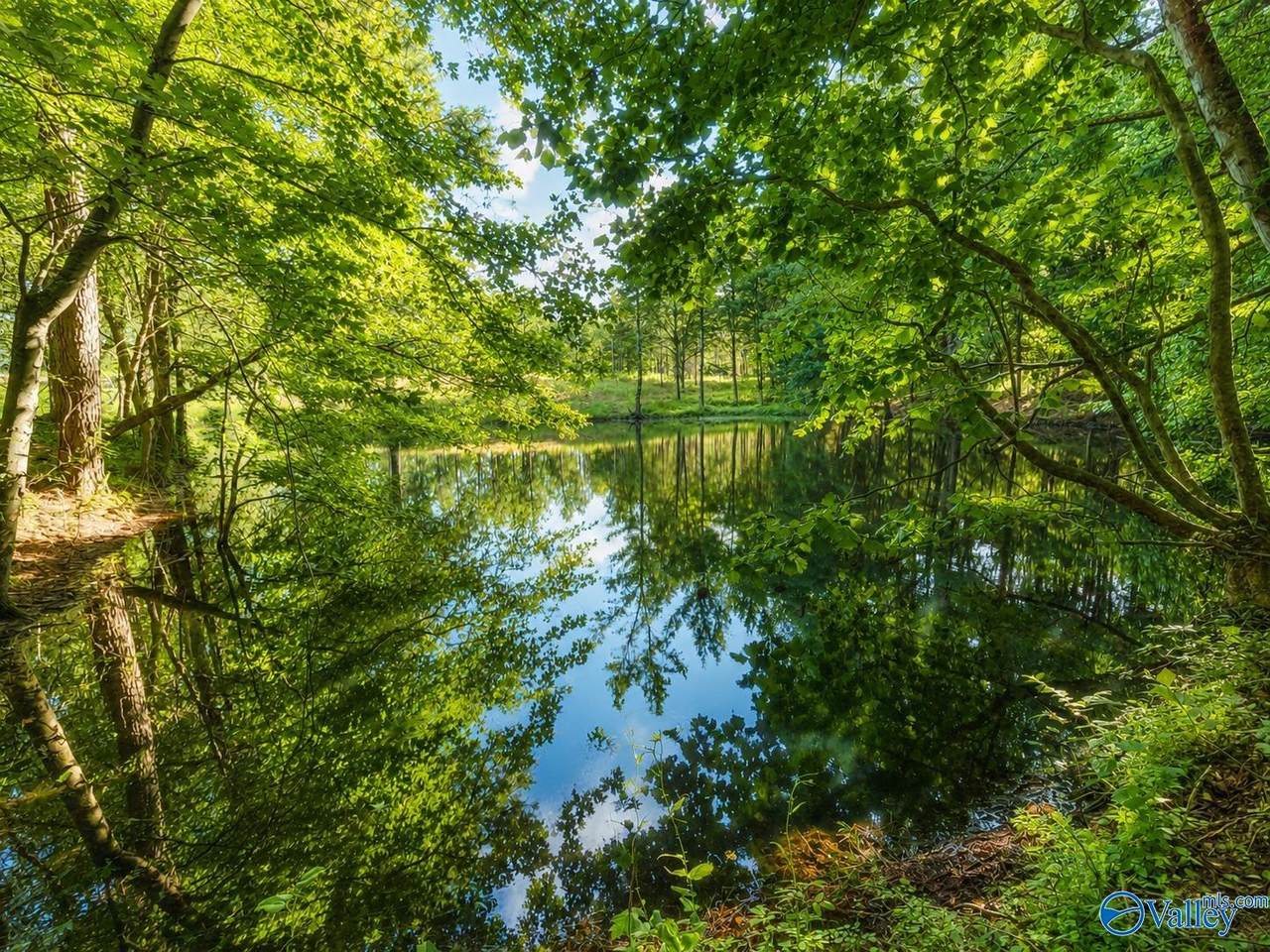 https://bt-photos.global.ssl.fastly.net/nalmls/1280_boomver_4_21923116-2.jpg