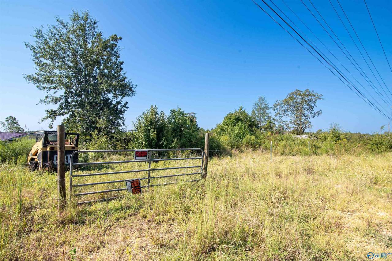 115 AC County Road 424 - Photo 1