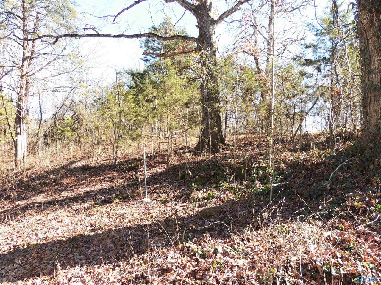 https://bt-photos.global.ssl.fastly.net/nalmls/1280_boomver_5_21905375-2.jpg