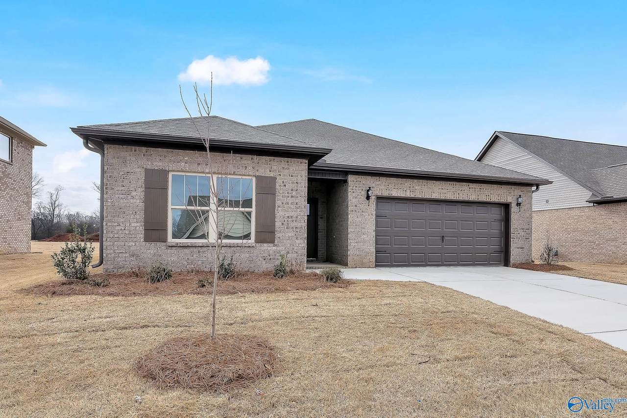 250 Paladin Street - Photo 1