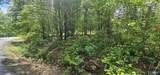 3 +/- Acres County Road 106 - Photo 2