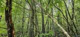 3 +/- Acres County Road 106 - Photo 7
