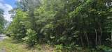 3 +/- Acres County Road 106 - Photo 8