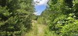 3.3+/- Acres--0 County Road 27 - Photo 1