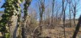 1 +/- Acre Alabama Highway 227 - Photo 4