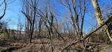 1 +/- Acre Alabama Highway 227 - Photo 8