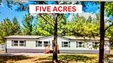 4497 County Road 159 - Photo 1