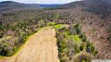 242 acres Pulaski Pike - Photo 10