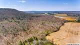 242 acres Pulaski Pike - Photo 11