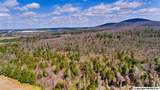 242 acres Pulaski Pike - Photo 12