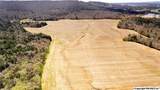 242 acres Pulaski Pike - Photo 3
