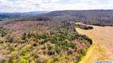242 acres Pulaski Pike - Photo 5