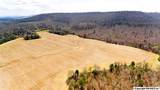 242 acres Pulaski Pike - Photo 6