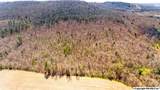 242 acres Pulaski Pike - Photo 7