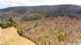 242 acres Pulaski Pike - Photo 8
