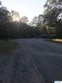 lot 30 County Road 279 - Photo 5