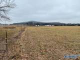 85 acres County Road 55 - Photo 5