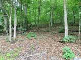 0.34 acres Shady Lane - Photo 4