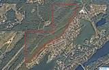 59.61 Acres Faith School Road - Photo 10