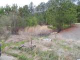 59.61 Acres Faith School Road - Photo 4