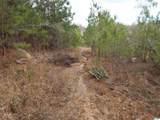 59.61 Acres Faith School Road - Photo 6