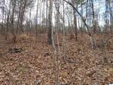 59.61 Acres Faith School Road - Photo 8