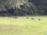 20 ac Sierra Drive - Photo 11