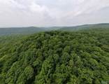 109 Acres Gurley Drive - Photo 6