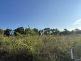 2 acres +/- Highway 231 - Photo 3