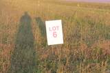 Tract 6 Highway 55 - Photo 6