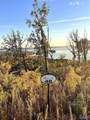 46 Treetop Drive - Photo 6