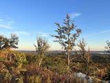 46 Treetop Drive - Photo 7
