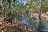 28675, 28597 Capshaw Road - Photo 33