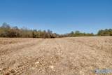28675, 28597 Capshaw Road - Photo 47