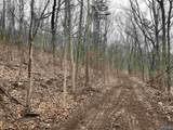 14 AC Jackson Trail - Photo 10