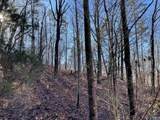 14 AC Jackson Trail - Photo 7
