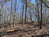 14 AC Jackson Trail - Photo 9