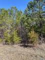 Lot 4 1st Add Alyson Avenue - Photo 1