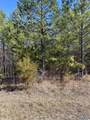Lot 4 1st Add Alyson Avenue - Photo 2