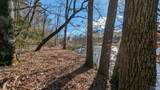 Lot 11 County Road 137 - Photo 4
