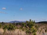 415 ACRES Tom Cat Road - Photo 1
