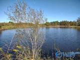 415 ACRES Tom Cat Road - Photo 10