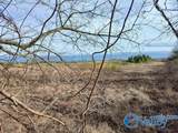 415 ACRES Tom Cat Road - Photo 11