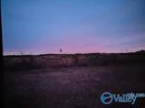 415 ACRES Tom Cat Road - Photo 12