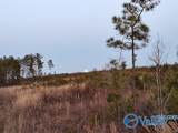 415 ACRES Tom Cat Road - Photo 13