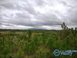415 ACRES Tom Cat Road - Photo 14