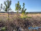 415 ACRES Tom Cat Road - Photo 15