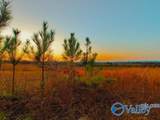 415 ACRES Tom Cat Road - Photo 16