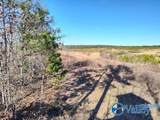 415 ACRES Tom Cat Road - Photo 17