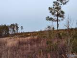 415 ACRES Tom Cat Road - Photo 18
